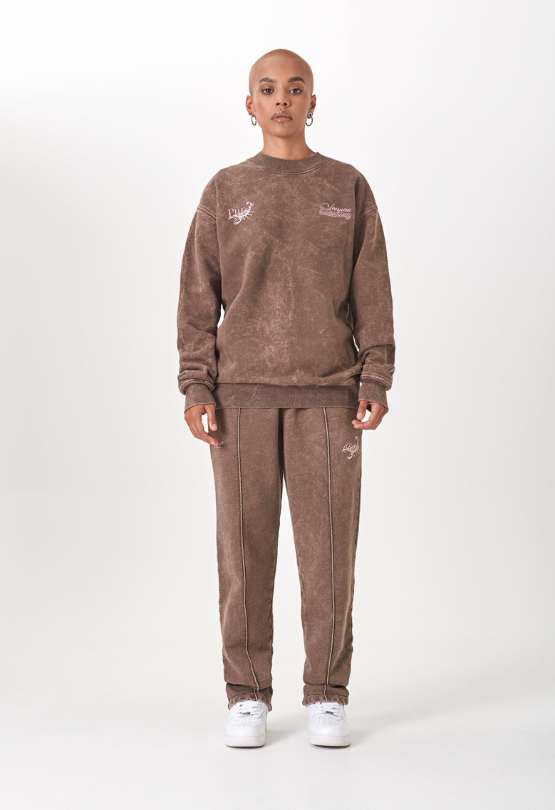 Biology Brown Washed Pullover