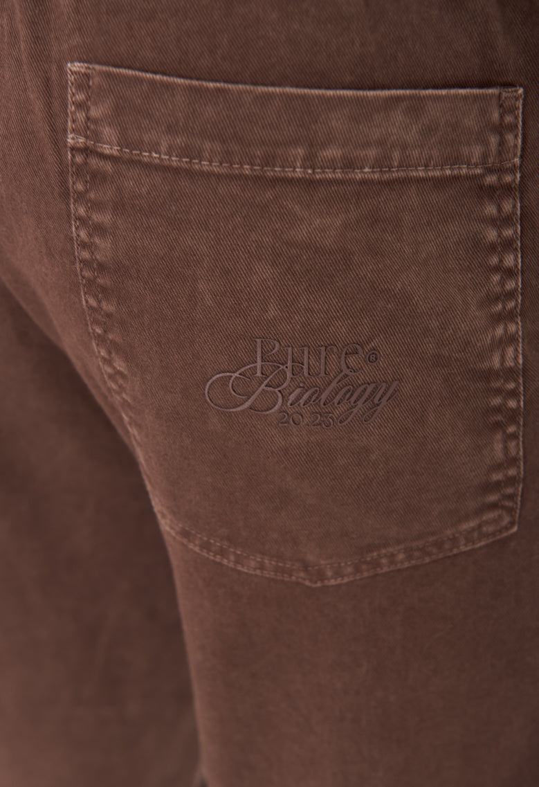 Biology Brown Cargo Pants